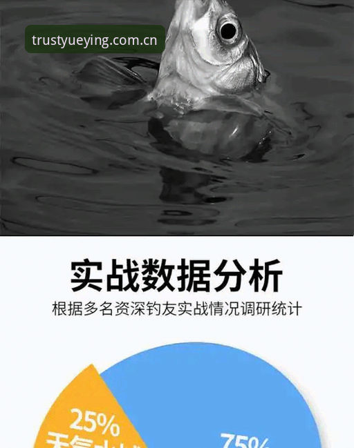 悦盈体育平台2024最新动态：资深用户深度解析品牌可信度与实战体验