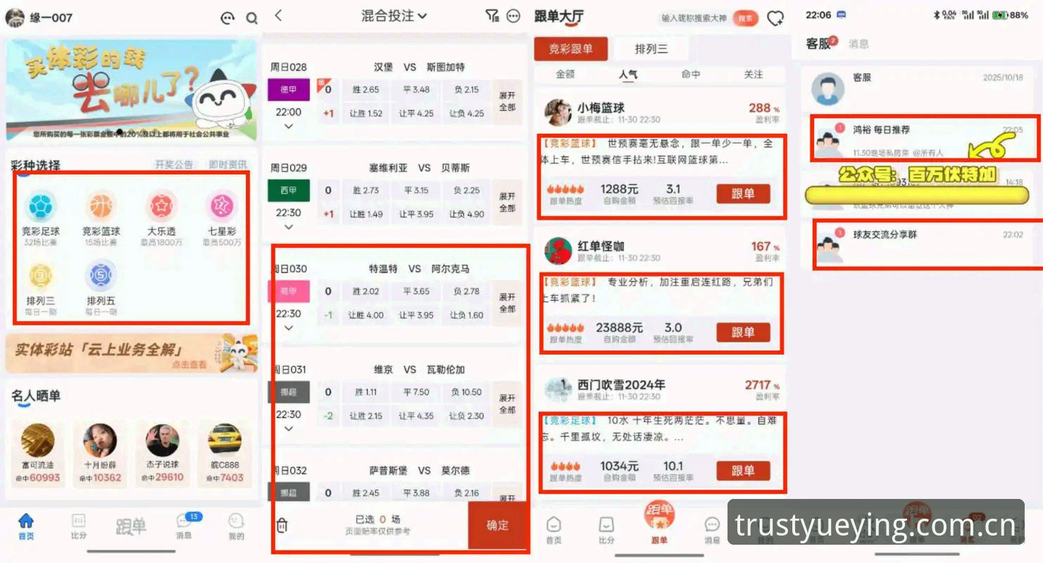 揭秘悦盈体育登录入口背后的真相：实战派教你如何安全高效投注